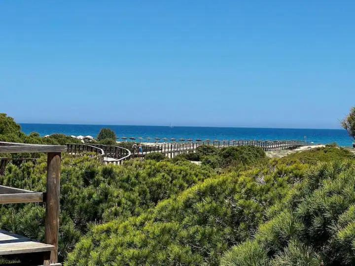 Casa Canarias En Alicante, Playa Y Piscina Gran Alacant Extérieur photo